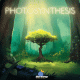 Photosynthesis Box